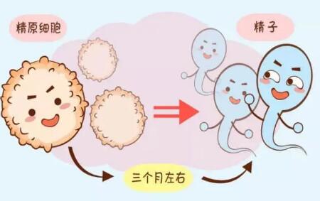 广州做三代试管婴儿较好的私立医院是哪家？广州第三代试管婴儿私立医院排名（附成功率及费用介绍）