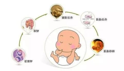 南京试管婴儿一般费用多少，2024试管价目表（看完便知如何选择）